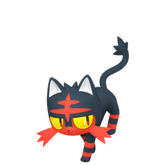 6IV Litten Indigo Disk Pokemon Scarlet and Violet